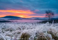 Ostrzeżenie o silnym wietrze - zdjęcie główne
