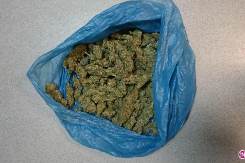 Kolejne uderzenie w narkobiznes - zdjęcie 3