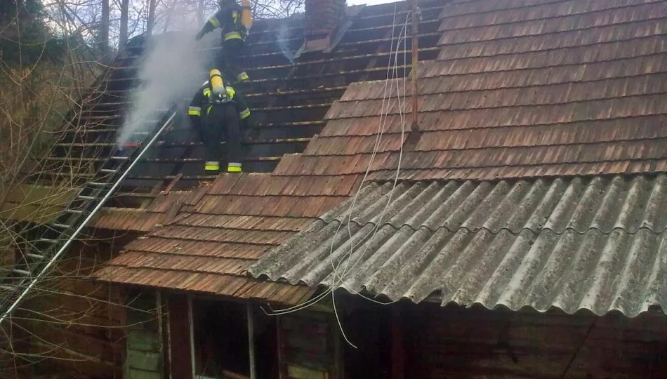 Zapalił się budynek gospodarczy. W akcji brało udział 29 strażaków - zdjęcie 1