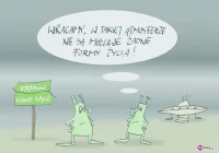 Pomysł roku - zdjęcie główne