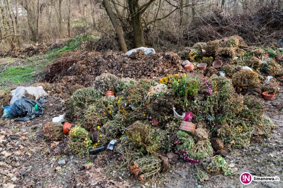 'Upolitycznione' wysypisko śmieci z cmentarza nad rzeką