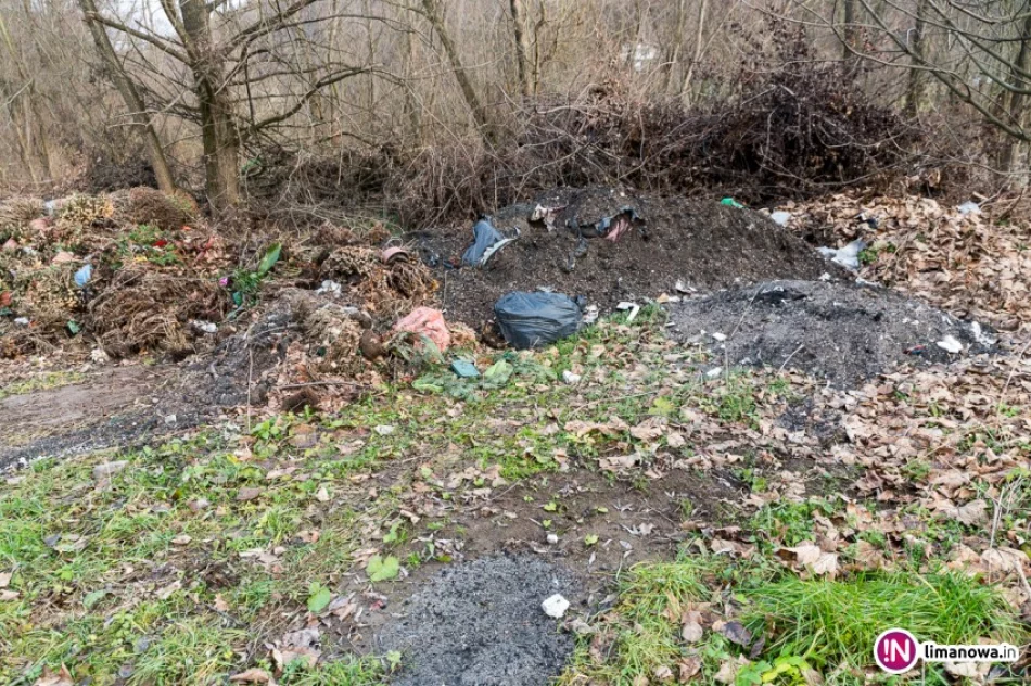 'Upolitycznione' wysypisko śmieci z cmentarza nad rzeką - zdjęcie 2