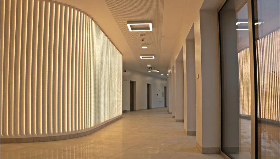 Ferie pełne kreatywności  - zdjęcie 1
