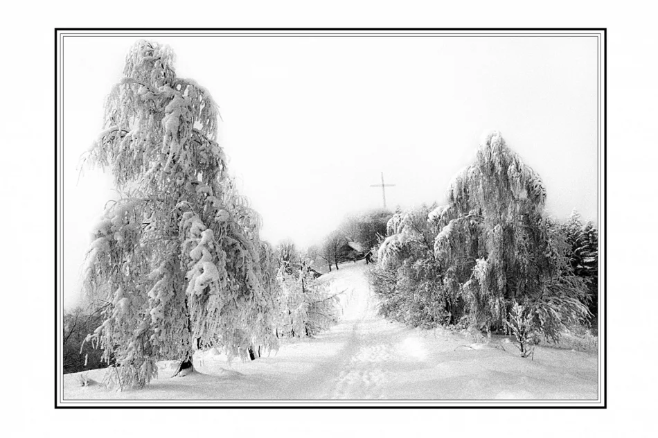 Bazylika w obiektywie Jana Dutki - zdjęcie 3