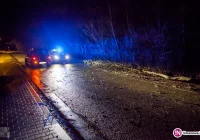 Złamany konar spadł na przejeżdżający drogą samochód - zdjęcie główne