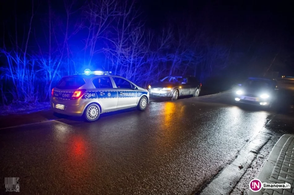 Złamany konar spadł na przejeżdżający drogą samochód - zdjęcie 3