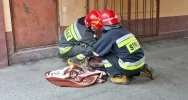 Sarna uwięziona w bramie w centrum miasta - zwierzę uwolnili strażacy - zdjęcie 3