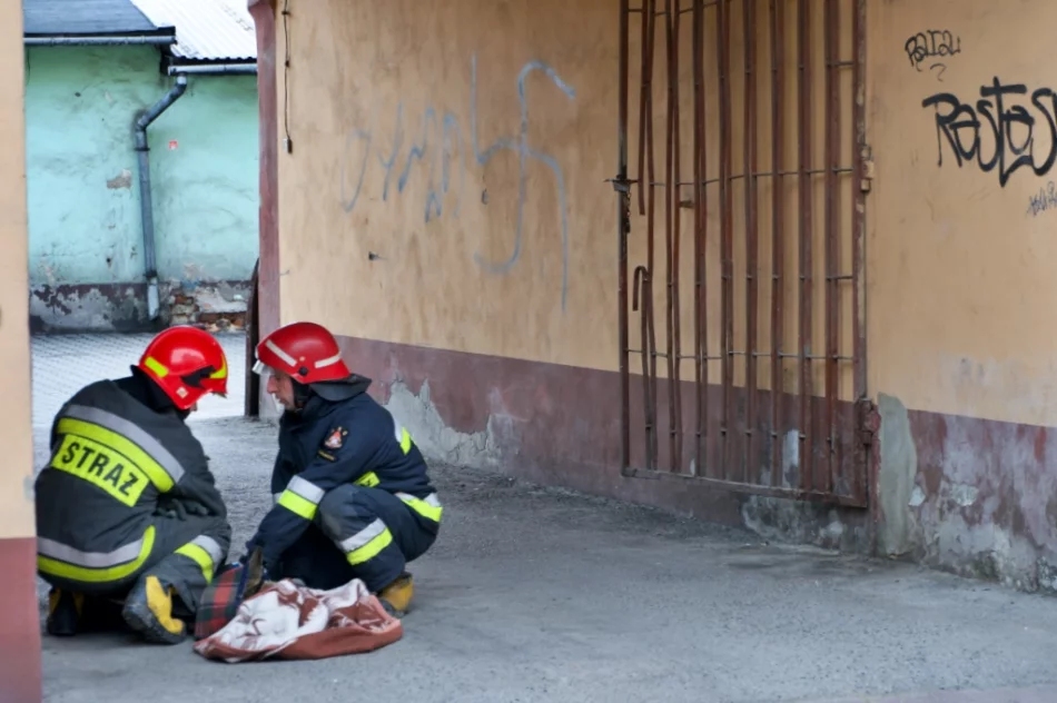 Sarna uwięziona w bramie w centrum miasta - zwierzę uwolnili strażacy - zdjęcie 7