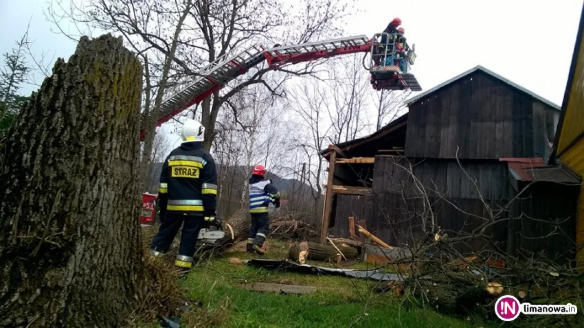 Powalone na budynek drzewo i zerwany dach - interwencje straży