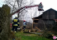 Powalone na budynek drzewo i zerwany dach - interwencje straży - zdjęcie główne