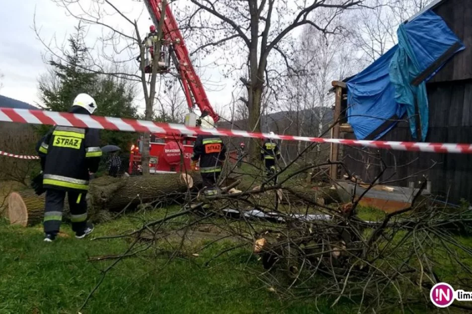 Powalone na budynek drzewo i zerwany dach - interwencje straży - zdjęcie 2
