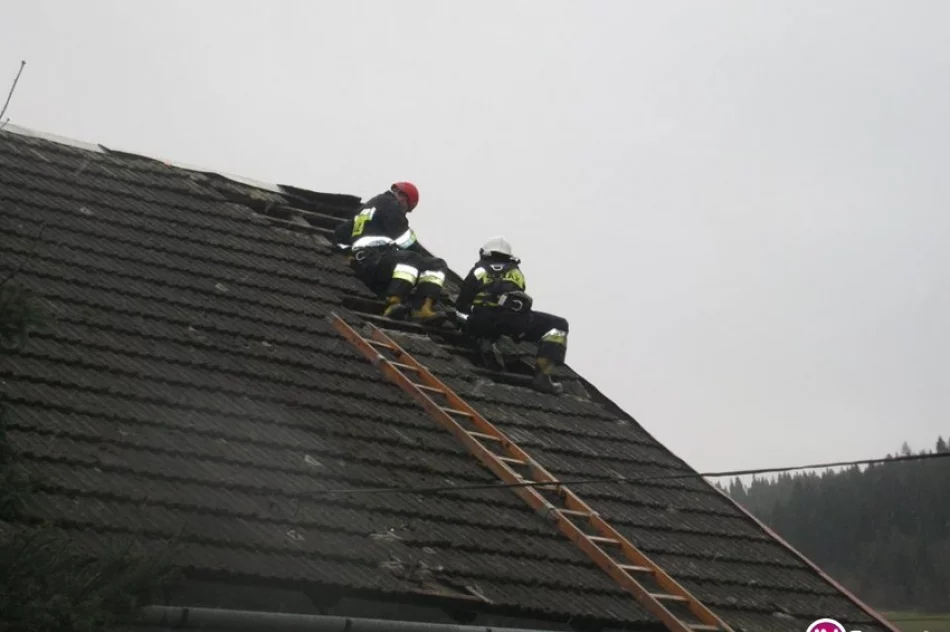Powalone na budynek drzewo i zerwany dach - interwencje straży - zdjęcie 4