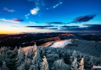 Mogielica sama się chwali - zdjęcie główne