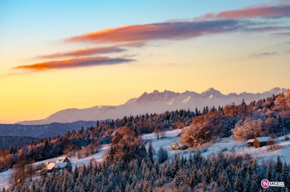 Mogielica sama się chwali - zdjęcie 2