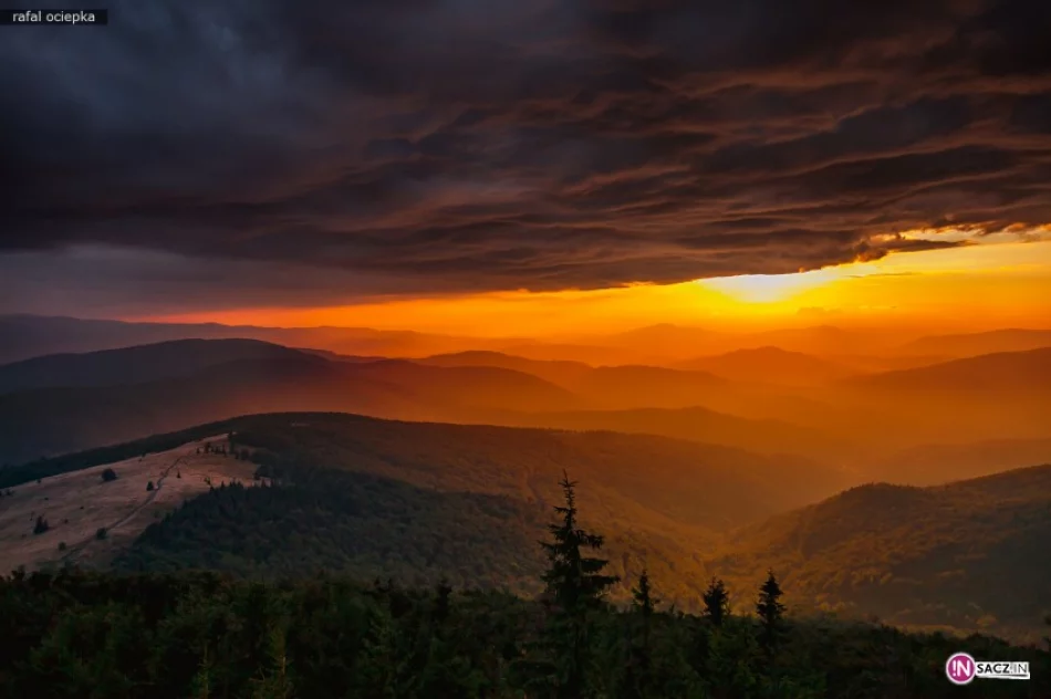 Mogielica sama się chwali - zdjęcie 3