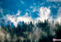 Uwaga na silny wiatr, do 80 km/h! - zdjęcie główne