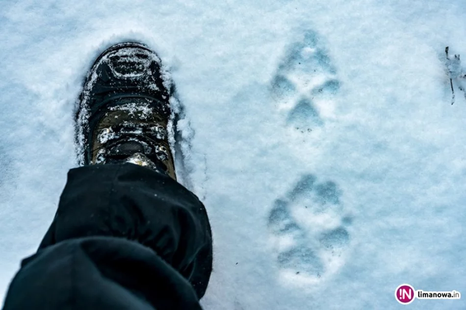 Poranek w górach - obejrzyj wideo i zdjęcia - zdjęcie 2