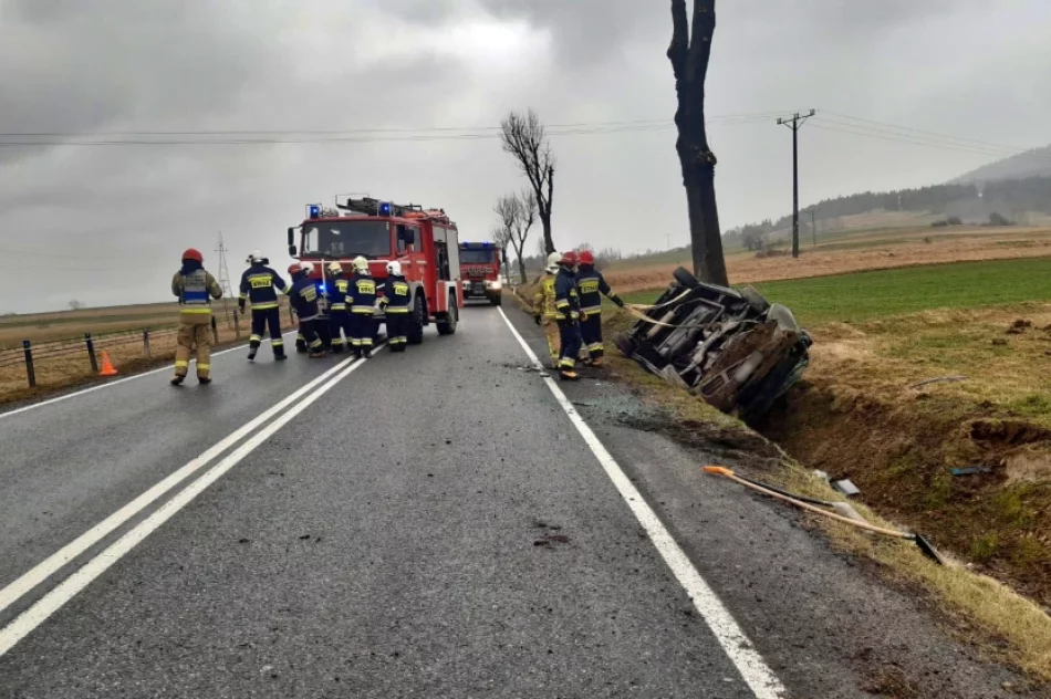 Dachowanie na drodze krajowej - zdjęcie 2