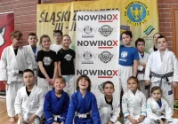 Młodzi wojownicy z medalami w Katowicach - zdjęcie główne