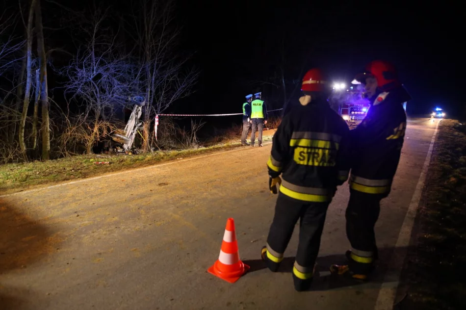 Audi A3 wypadło z drogi - poszkodowany kierowca w szpitalu - zdjęcie 2