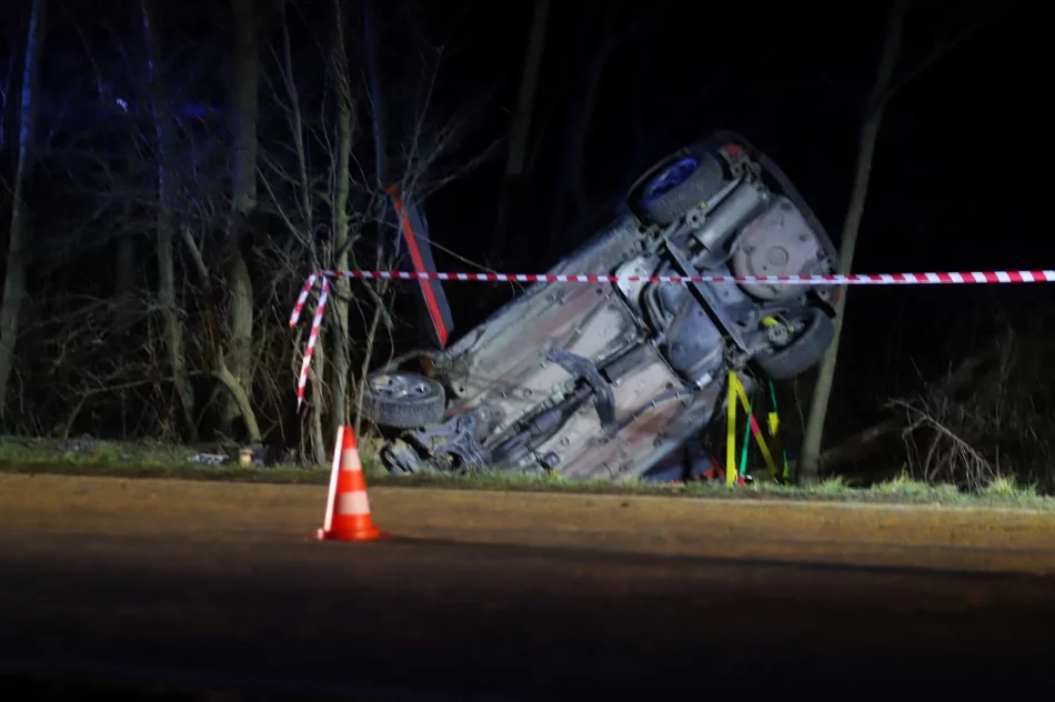 Audi A3 wypadło z drogi - poszkodowany kierowca w szpitalu - zdjęcie 3