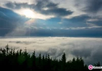 Może wystąpić silna mgła - ostrzeżenie meteorologów - zdjęcie główne