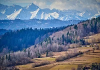 Ostrzeżenie IMiGW: silny wiatr - zdjęcie główne