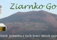 Ziarnko Gorczycy 2016 – początek plebiscytu - zdjęcie główne