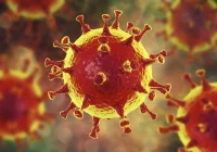 W Polsce dopuszczono lek wspomagający leczenie koronawirusa - zdjęcie główne