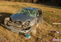 Dachowanie przez sarnę (wideo) - zdjęcie główne