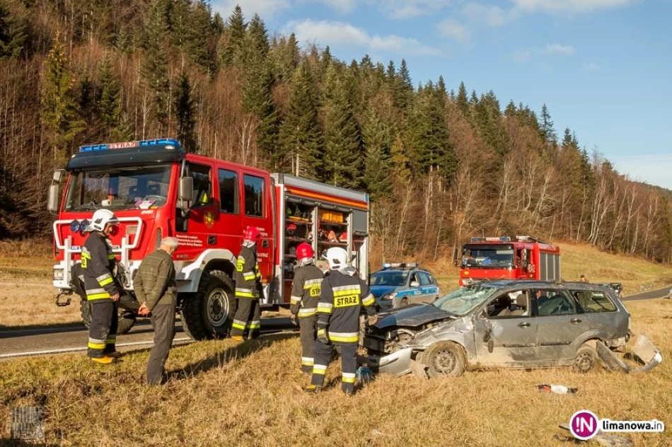 Dachowanie przez sarnę (wideo) - zdjęcie 2