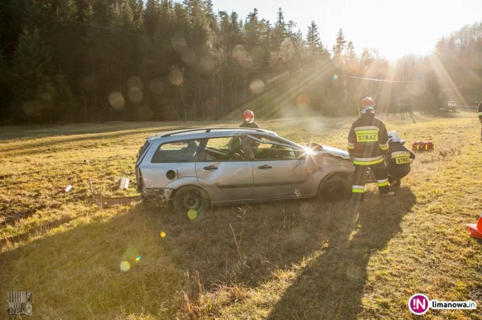 Dachowanie przez sarnę (wideo) - zdjęcie 3