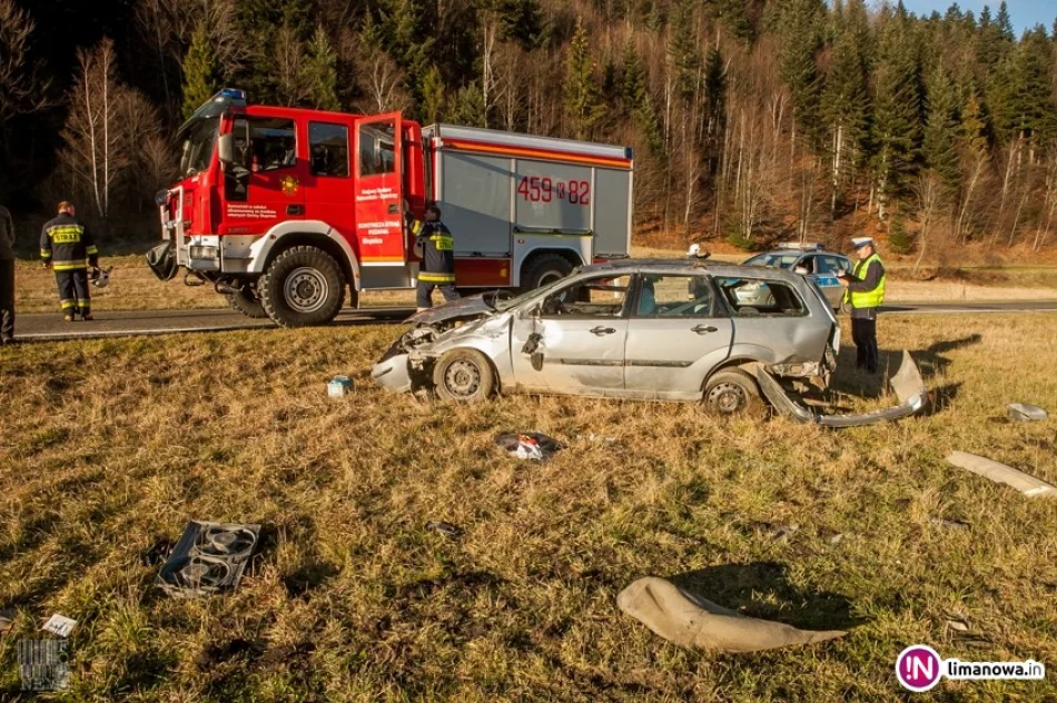 Dachowanie przez sarnę (wideo) - zdjęcie 4