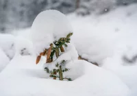 Ostrzeżenie IMiGW: opady śniegu - zdjęcie główne