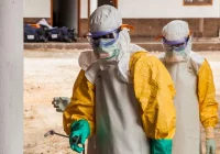 Hiszpański raport wojskowy przewiduje dwie nowe fale pandemii koronawirusa - zdjęcie główne