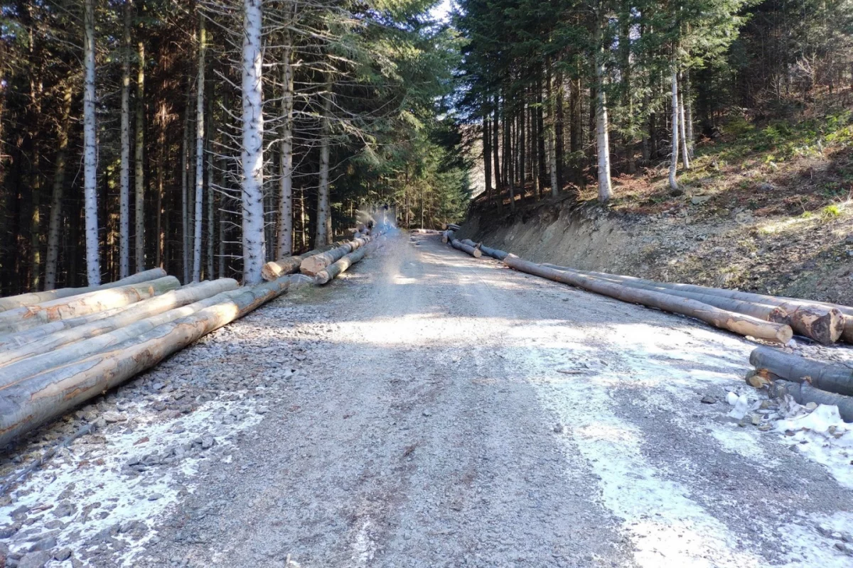 Na terenie Nadleśnictwa Limanowa wprowadzono zakaz wstępu do lasów