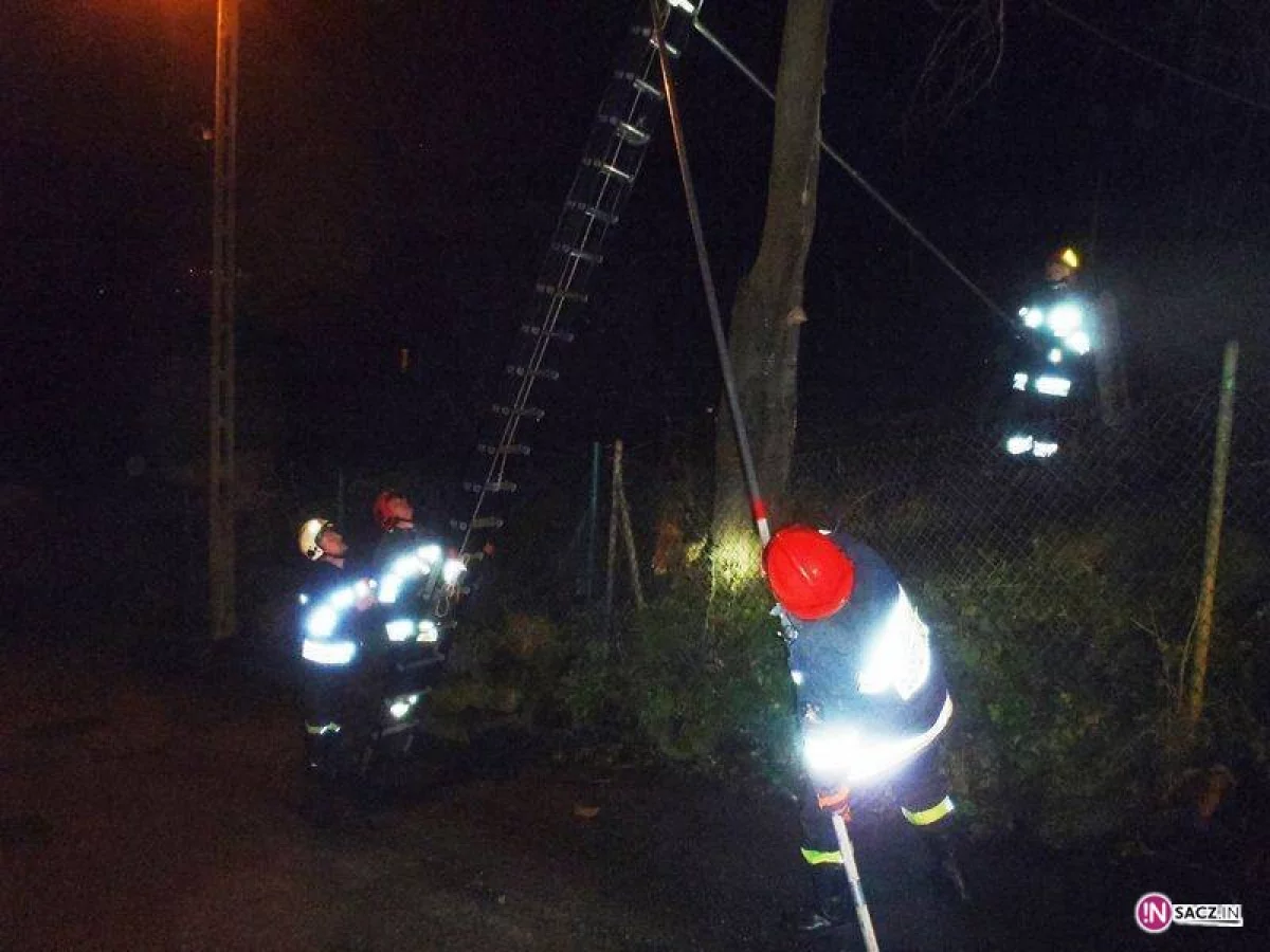 Silny wiatr, połamane drzewa i zerwane linie energetyczne