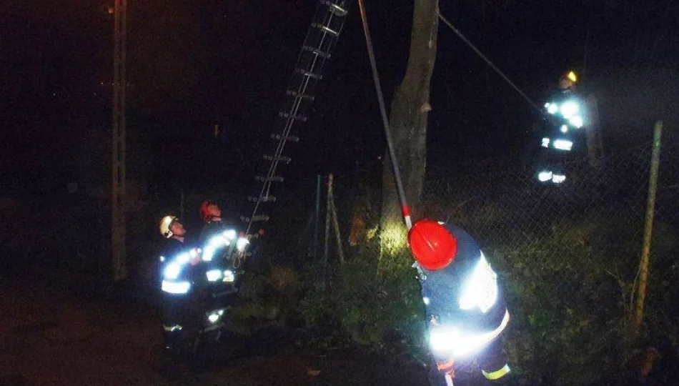 Silny wiatr, połamane drzewa i zerwane linie energetyczne - zdjęcie 1