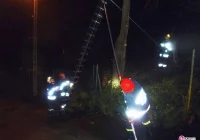 Silny wiatr, połamane drzewa i zerwane linie energetyczne - zdjęcie główne