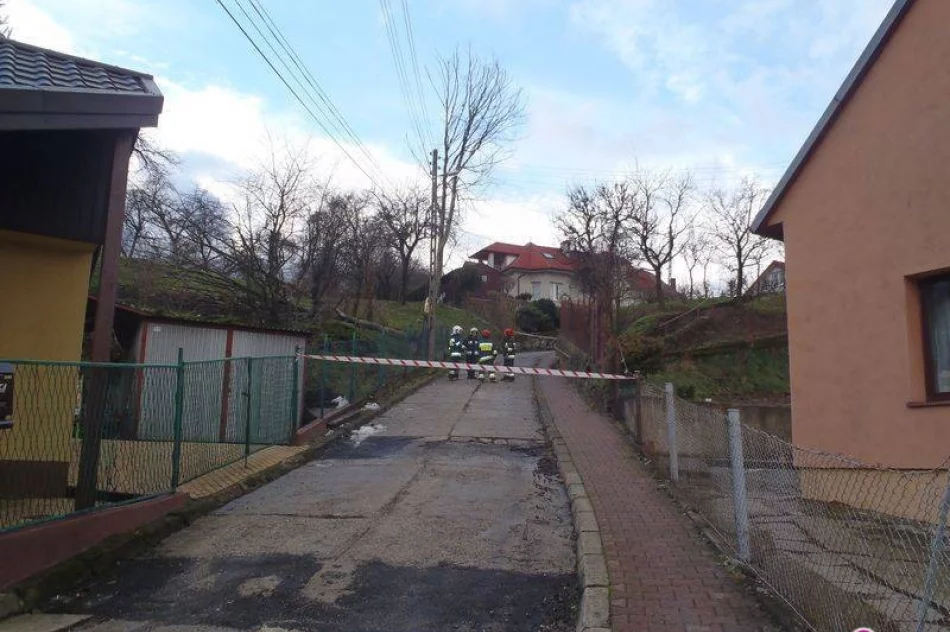 Silny wiatr, połamane drzewa i zerwane linie energetyczne - zdjęcie 2