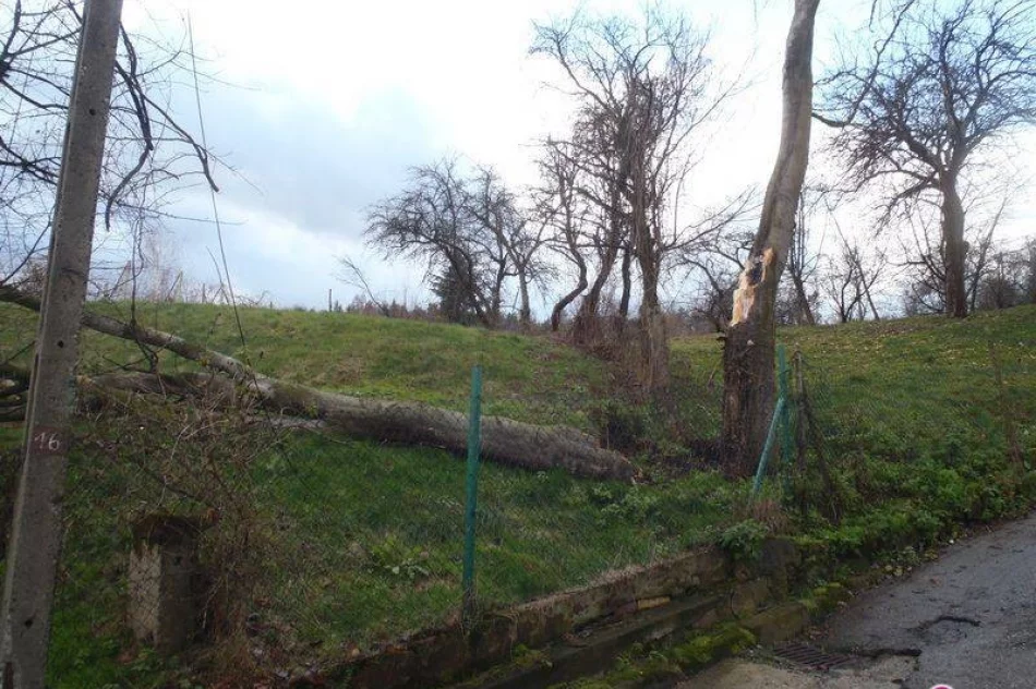 Silny wiatr, połamane drzewa i zerwane linie energetyczne - zdjęcie 3