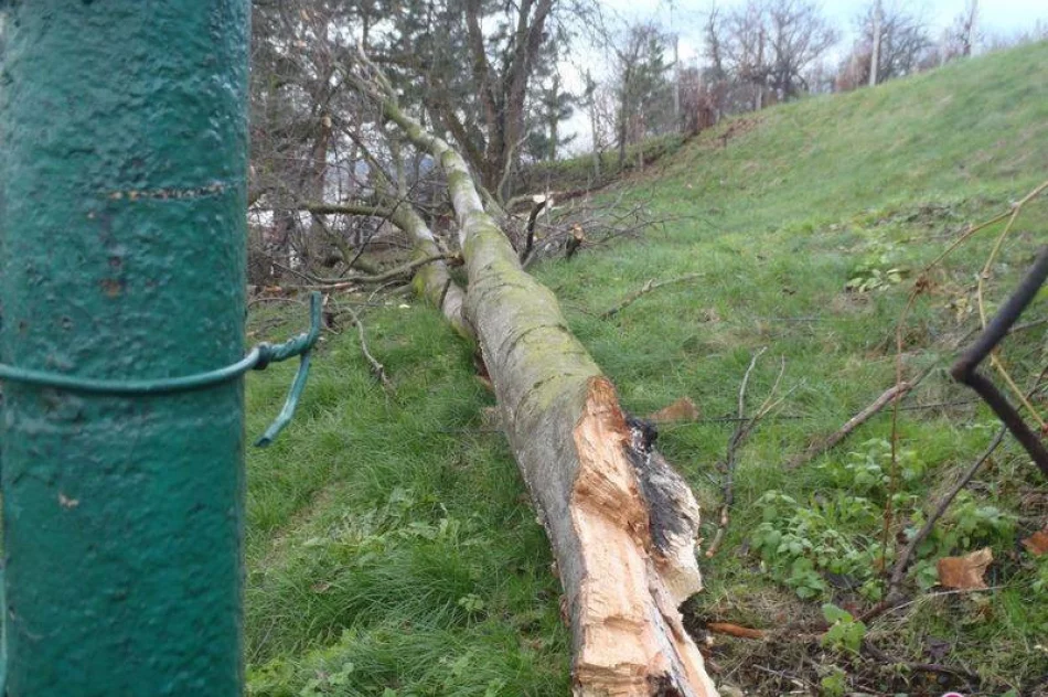 Silny wiatr, połamane drzewa i zerwane linie energetyczne - zdjęcie 4