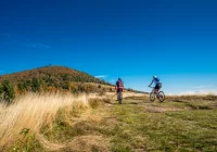 Czy możliwe jest wychodzenie na spacer? Czy można biegać, jeździć na rowerze? - zdjęcie główne