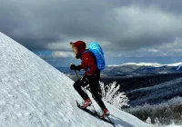 Justyna Kowalczyk o kwarantannie sportowej - zdjęcie główne