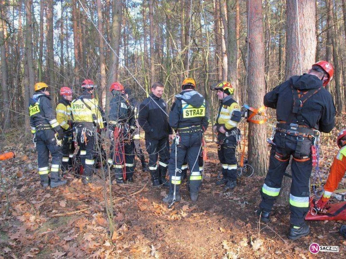 Warsztaty z zakresu ewakuacji z drzew w Tarnowskich Górach