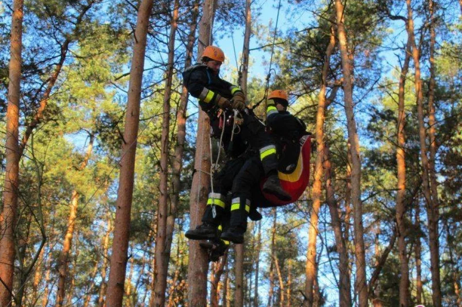 Warsztaty z zakresu ewakuacji z drzew w Tarnowskich Górach - zdjęcie 2
