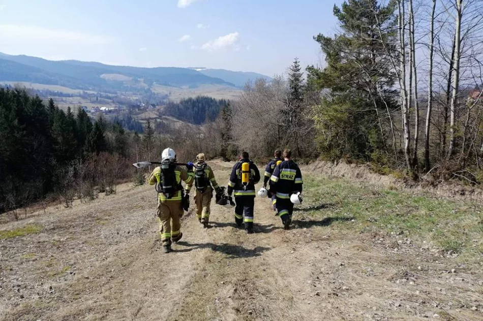 Doszczętnie spłonął samochód terenowy - zdjęcie 7