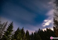 Kolejne ostrzeżenie o silnym wietrze - wiatr w porywach do 110 km/h - zdjęcie główne