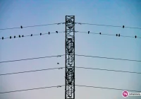 Przerwy w dostawie prądu - zdjęcie główne