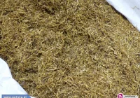 15 kg tytoniu bez znaków akcyzy - zdjęcie główne